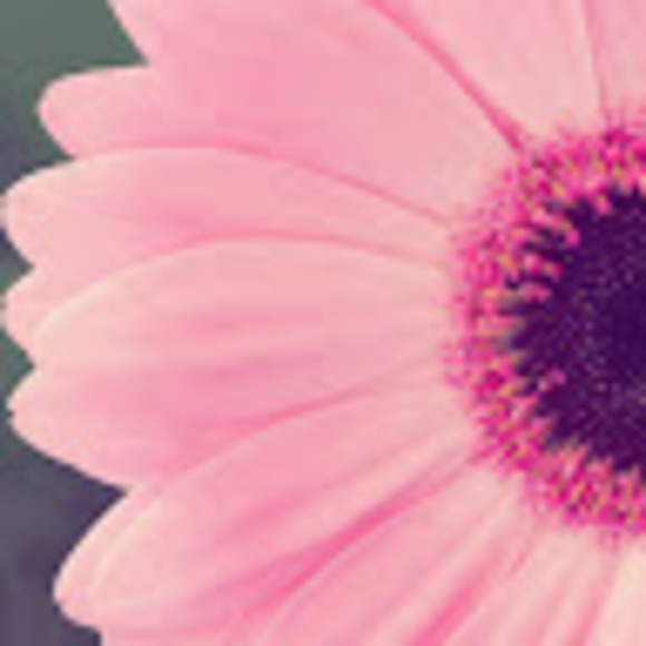 Meet your Posher, Dawnbanga - Picture 1 of 1